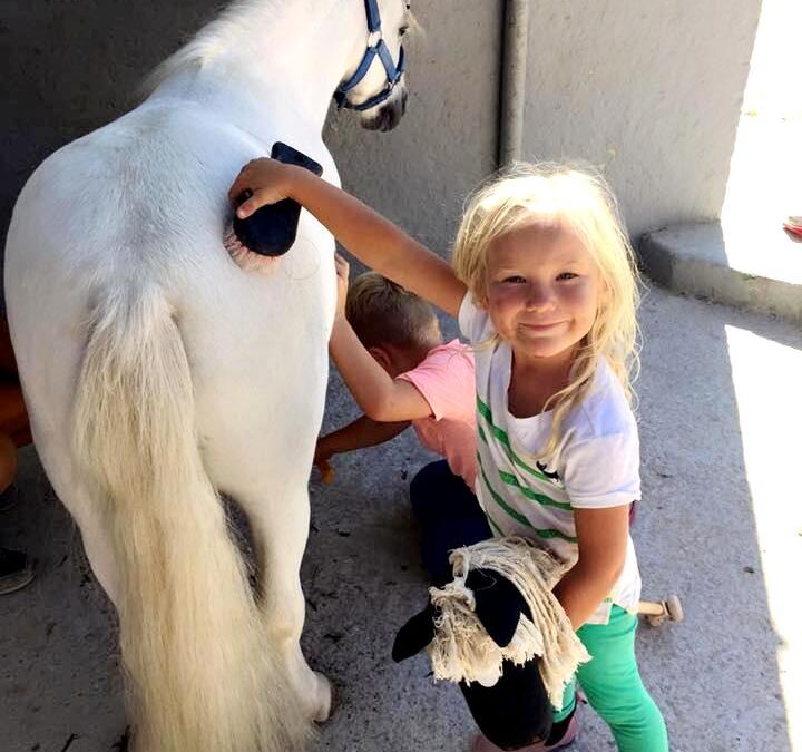 Det gode liv i stallen