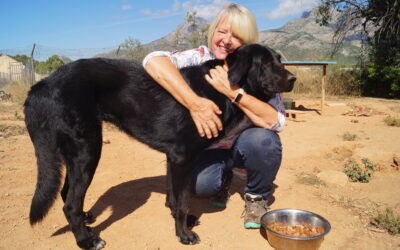 Korona stopper ikke dyrenes Mor Teresa